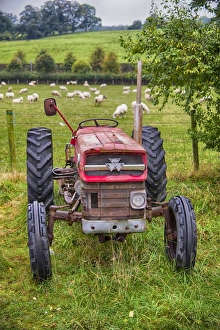 Country Side Prints: Old Massey Ferguson 135 tractor