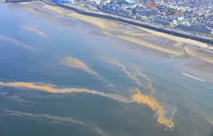 Aerial Prints: Orange Algae, aerial view of bloom floating on surface of sea