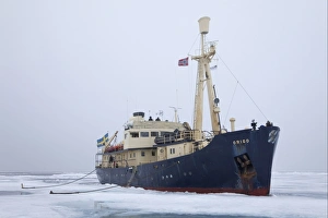 Transports Prints: Origo icebreaker moored in pack ice, Arctic Sea, Svalbard, september