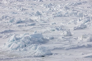 Antarctic Prints: Pack ice hummocks, Weddell Sea, Antarctica, December