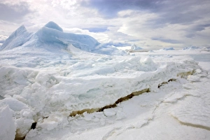 Blue Prints: Pack ice and trapped blue iceberg, Devil Island, Weddell Sea, Antarctica, November