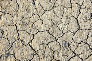Climate Prints: Parched soil with cracks, Saintes Marie de la Mer, Camargue, Bouches du Rhone, France