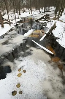 Central Europe Prints: Partially frozen river and snow covered forest habitat