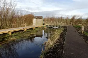 Conserves Prints: Path, boardwalk and birdwatching hide in floodplain grassland and wetland habitat