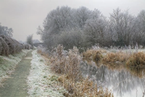 Frosted Prints: Path beside part of disused canal on frosty day