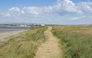 Grasslands Prints: Pathway cut through grass near coast