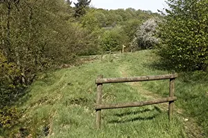 Pathway through woodland habitat, Coombes Valley RSPB Reserve, Staffordshire, England, april