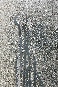 Condense Prints: Pattern on window glass formed by condensation, Powys, Wales, January