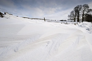 Blizzard Prints: Patterns in snowdrift at back of drystone wall after snowstorm, Cumbria, England, March