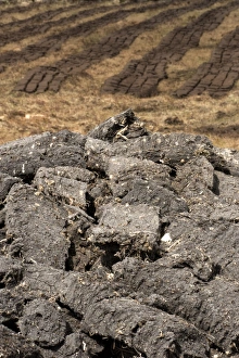 Block Prints: Peat extraction, dried cut turves on moor, North Uist, Outer Hebrides, Scotland, May