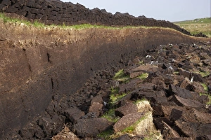 Block Prints: Peat extraction, seam cut through bog with recently cut blocks