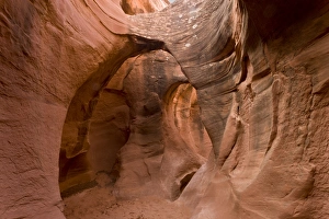 Erosion Prints: Peek-a-boo slot canyon cut through Navajo sandstone