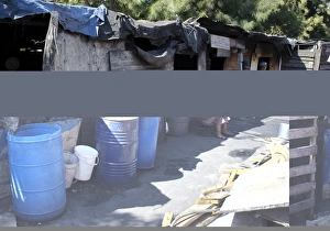Women Prints: People outside shacks used as housing in township, Langa Township, Cape Town, South Africa