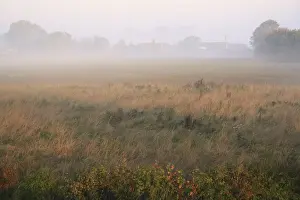 Mists Prints: Permanent set-a-side and cultivated arable field in mist at dawn