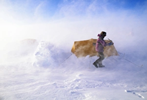 Blizzard Prints: Person beside tent in blizzard