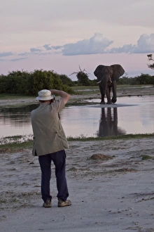 Photographing Prints: Photographing an African Elephant and a Botswana waterhole