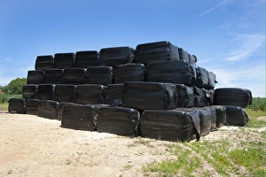 Stacks Prints: Pile of black plastic wrapped silage bales, Sussex, England, june