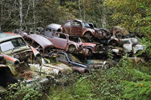 Cars Prints: Pile of scrap cars in forest, Sweden