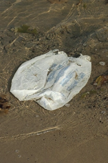 Pollution Prints: Plastic carrier bag washing up on beach