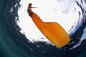 Drifting Prints: Plastic spray bottle floating in sea