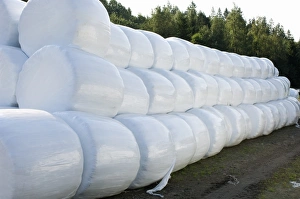 Stacks Prints: Plastic wrapped round silage bales, Sweden
