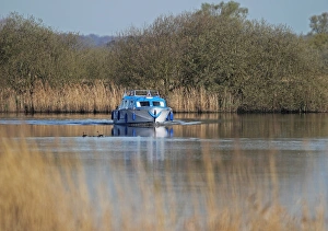 Holidays Prints: Pleasure boat on river, Norwich, River Yare, The Broads, Norfolk, England, april