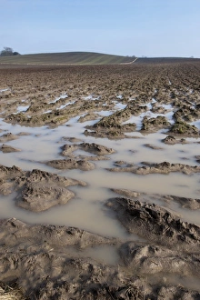 Damp Prints: Ploughed arable field with extreme waterlogging, Yorkshire, England, February