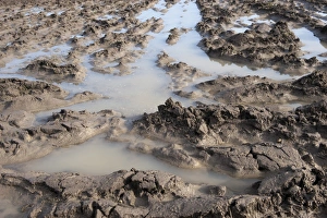 Ploughed arable field with extreme waterlogging, Yorkshire, England, February