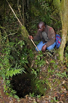 Traps Prints: Poacher trap in tropical montane forest