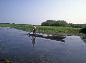 Poland Man on boat / Narew River / Biebrza Marshes