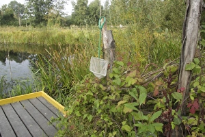 Conserves Prints: Pond dipping platform and net beside pool