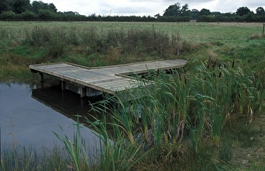 Ponds Wildlife Pond at Foxburrow Farm, Suffolk Wildlife Trust