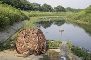 Site Prints: Pop-up hide used by bird photographer at edge of water, Hong Kong, China, October