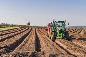 Potato (Solanum tuberosum) crop, John Deere tractor with mechanical equipment used to create soil tilth