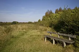 Seat Prints: Pound farm is 148 areas of woodland and meadow that was planted with a mix of native british trees in 1992