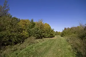 Pound farm is 148 areas of woodland and meadow that was planted with a mix of native british trees in 1992