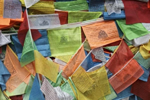 Buddhism Prints: Prayer flags beside temple, Tai Tze Temple