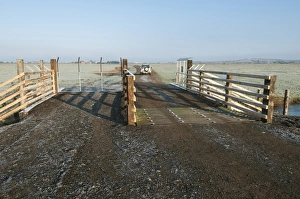 Fence Prints: Predator control gate and fence on reserve