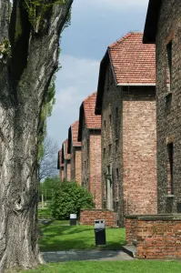 Central Europe Prints: Prisoner housing, in concentration and extermination camp, Auschwitz, Poland