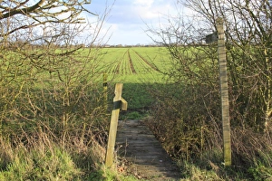 Directions Prints: Public Footpath sign and footbridge over ditch