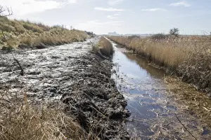 Dyke Prints: Public hide at RSPB Minsmere Suffolk with Sizewell Nuclear Power station