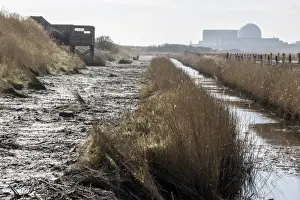 Dyke Prints: Public hide at RSPB Minsmere Suffolk with Sizewell Power station. Newly cleared dyke