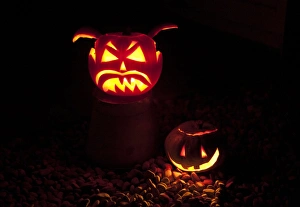 Tradition Prints: Pumpkin (Cucurbita sp. ) Jack O Lantern