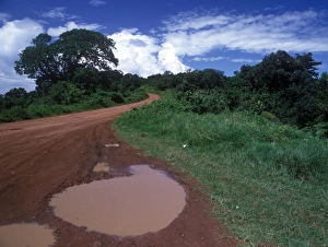 Rainfalls Prints: Rain Puddle on African road
