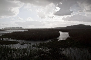 Shower Prints: Rain storm over reed beds at RSPB Minsmere Suffolk, view from Island Mere Hide