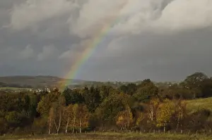 Rain Bow Prints: Rainbow over copse of mixed woodland