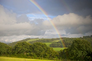 Hedges Prints: Rainbow over hedgerow, trees and farmland, North Cornwall, England, August