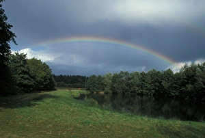 Rain Bow Prints: Rainbow At Lackford Wildlfowl Reserve, Suffolk Wildlife Trust