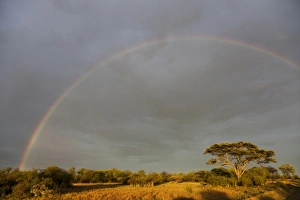 Serengeti Prints: Rainbow over savannah habitat, Serengeti N. P. Tanzania, november