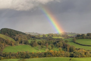 Storm Prints: Rainbow and stormclouds over farmland with sheep in pasture